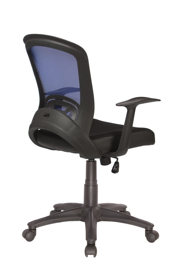 adjustable Intro Chair