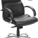 jupiter low back corporate chair