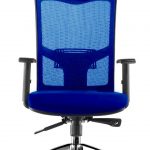 Mesh Chair Blue